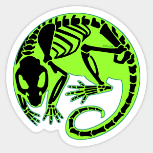 Skelly Rat XRay Sticker